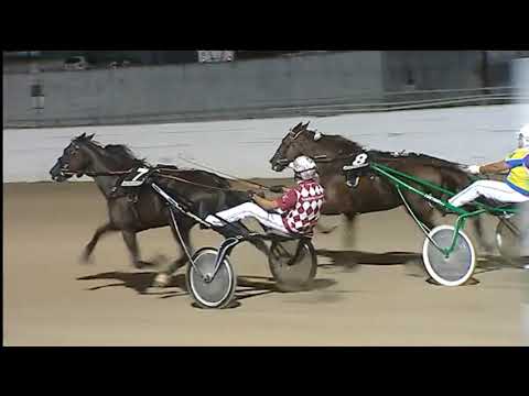 Trotto 03/07/2020 - 7ª corsa