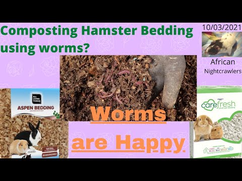 Compost Hamster Bedding with ANCs - Happy Worms 10/03/2021