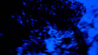 PJ Harvey- The Sky Lit Up