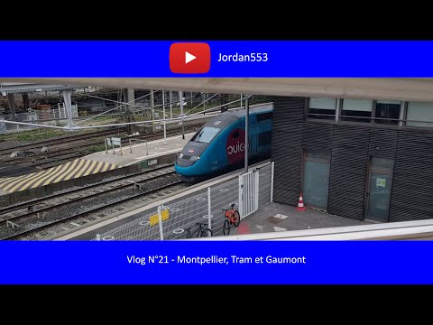 Vlog N°21 - Montpellier, Tram et Gaumont
