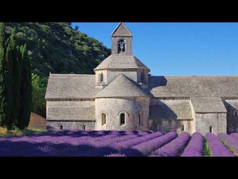 Ensemble Organum: Chant Cistercien Thumbnail