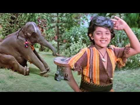 Yeh Apna Yarana Bhool Nahin Jana — watch video