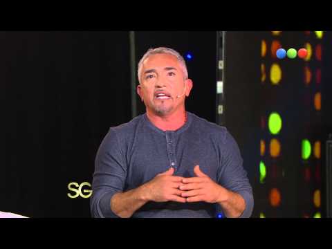 César Millán "Si el humano no se transforma el perro no cambia" - Susana Giménez