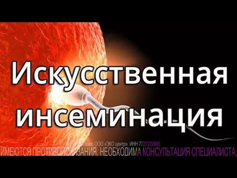 Превью видео на тему Инсеминация