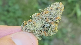 LEMON ZOAP.