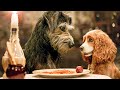 LADY AND THE TRAMP Trailer 2019