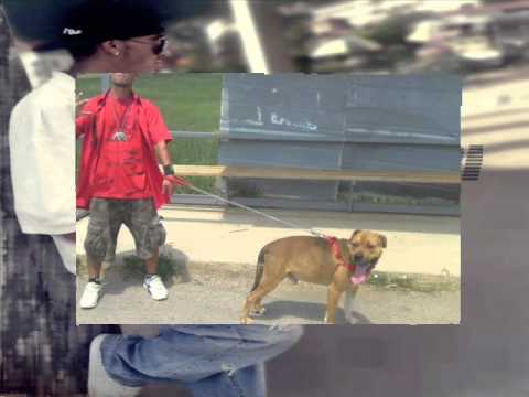 9. Dj.SaDi ft Dr.Kuci & Mc.M - Rapp Fresh