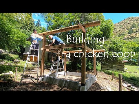 鶏小屋にネズミを近づけないようにする方法は？げっ歯類に対する解決策とヒント  庭園