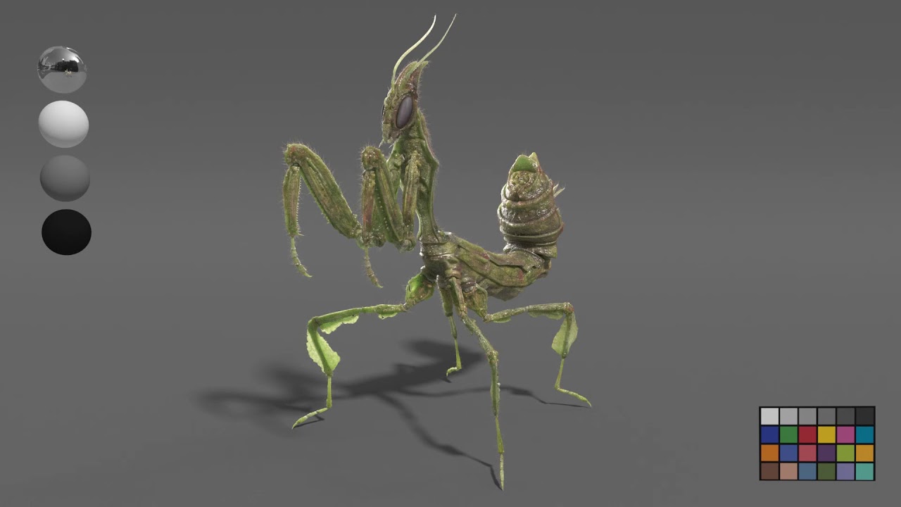 Turn mantis - 3D insect project