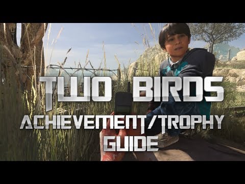 Call Of Duty: Modern Warfare (2019) - Two Birds Achievement / Trophy Guide