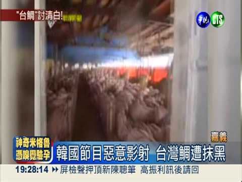 替台灣鯛討回公道! 漁民重拍影片