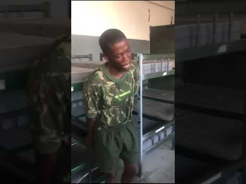 Cachorro Magrelinho no Exército Brasileiro