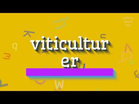 , title : 'VITICULTURER - HOW TO PRONOUNCE IT? #viticulturer'