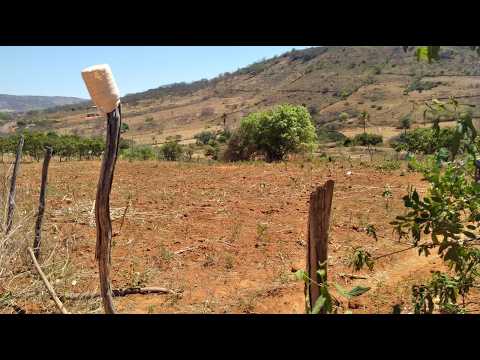 CHÁCARA DOS SONHOS PERTO DE TRIUNFO! Terreno cercado 40x50m em Santa Cruz da Baixa Verde - PE