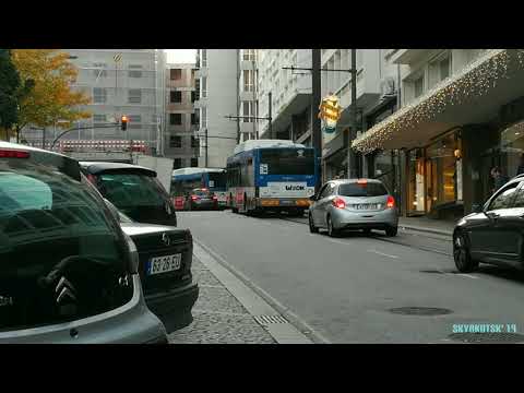 1112 🇵🇹 Porto (Vitória) 🚌 STCP 1729 ⌯ STCP 1750 ⌯ SCTP 3029 ⌯ STCP 3127 ⌯ STCP 3151