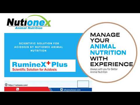 Ruminex plus animal feed supplement