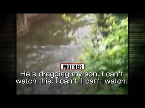 Frantic 911 calls from Cincinnati Zoo incident released