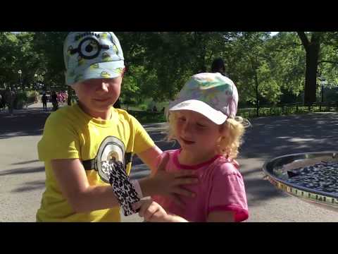 L’expérience publique 55 icônes