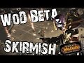 [WoD Beta] [2v2] Skirmishes - 100lvl Destruction ...