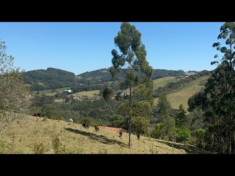 Viva em Meio à Natureza: Sítio Canto da Seriema em Itapeva MG