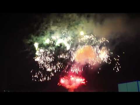 Wizard 1.3G Display Cakes