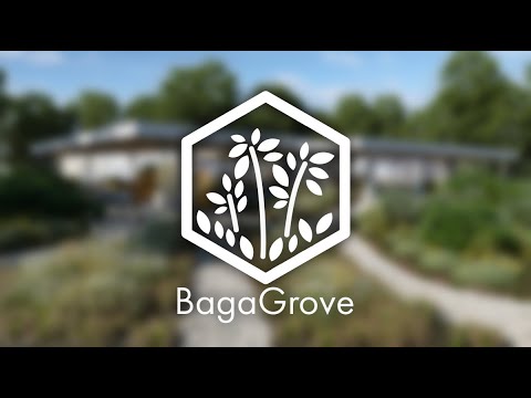 BagaGrove - Evermotion for Blender 4