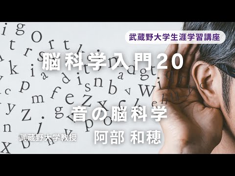 経済学科 脳科学入門２０ ― 音の脳科学 ―