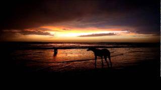 DC Salas - A Positive Shade (Original Remix)