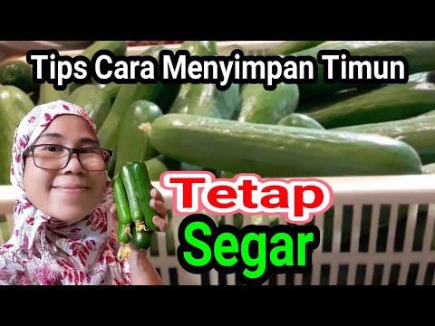 , title : 'Tips Dan Cara Menyimpan Timun Agar Tidak Cepat Layu Masih Segar Satu Bulan | ALA TKW ARAB'