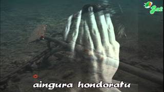 Lemak aingurak -Berri txarrak-