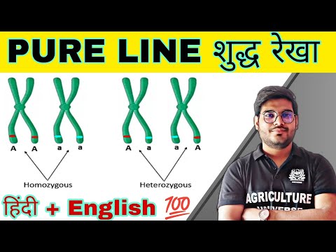 defination allopolyploid allopolyploid kya hai allopolyploid in hindi what is allopolyploid