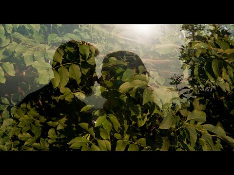 U ime Ljubavi- Dragi je moj (AFTERLIFE ft. Stjepan Lach)