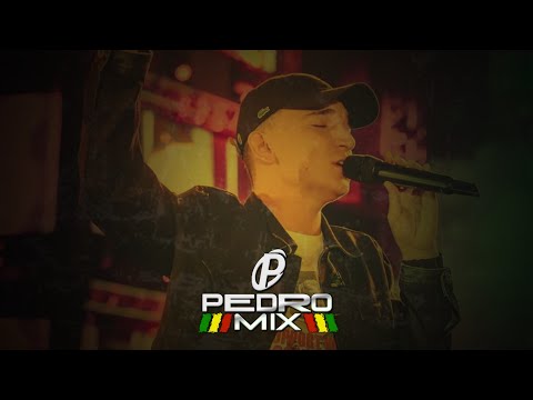 MEU CAFOFO - João Gomes (Reggae Remix 2022) @djpedromixofc