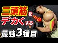【腕トレ】上腕三頭筋を鍛えるヤバいメニュー3選!!
