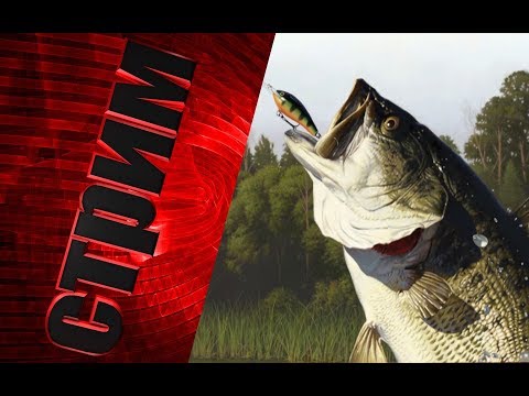 Russian Fishing 4--Ловим Осетра) Авось что проскочит?!!!