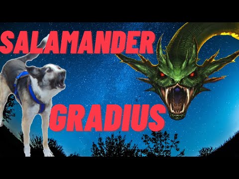 My dog's top 5 of best GRADIUS & SALAMANDER songs. The KONAMI's classic Shoot'em up arcade.