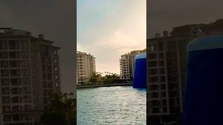 Celebrity Beyond 🛳️ #like #share #comment #subscribe #cruiseship #cruise #vacation #shorts #short