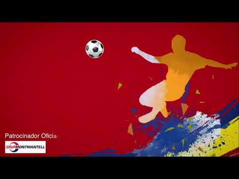 FC Santa Coloma - UE Sant Julia (2:2)