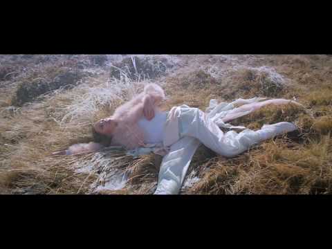 Le Cygne (trailer) - Gautier Capuçon (album Intuition)