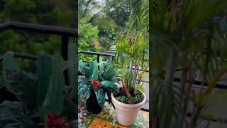 Download lagu Aye meri college ki ladkiyon song Udit Narayan 🔥#video mp3 Download lagu Aye meri college ki ladkiyon song Udit Narayan 🔥#video mp3