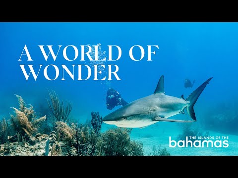 A World of Wonder | Freeport