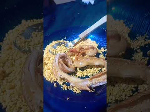 Daniel Góes..santo Antônio do içá Amazonas