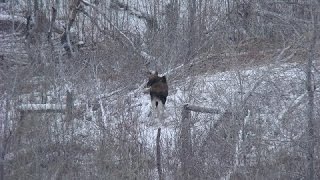 Охотники и рыболовы в волгограде