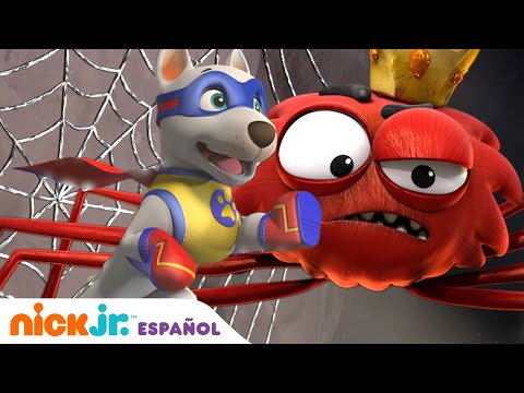 Paw Patrol, Patrulla de cachorros | ¡Apollo, el Súpercachorro, contra el rey araña!  | Nick Jr.