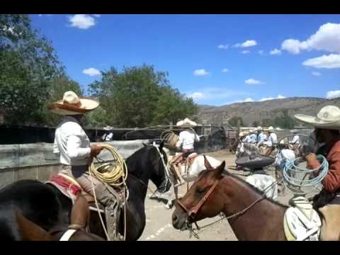 Juan Soltero 3er Pial Elko, Nevada