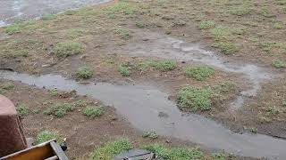 Don&#39;t trust the weather man