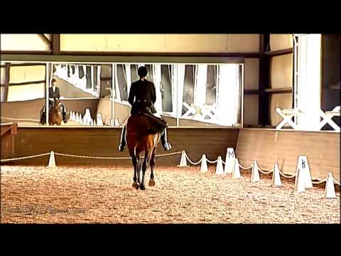 Ninja Nissen on Resplendent, T-3 & T-4, PVDA CDI/Chesapeake Dressage Institute, 8/8/2010