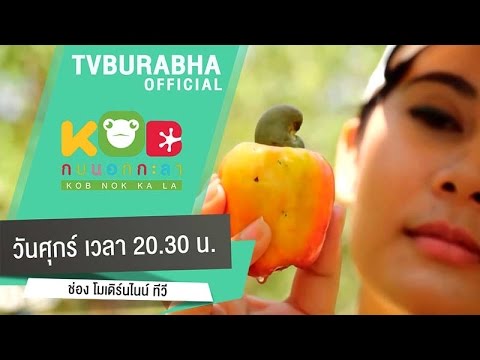 ลดลง potencies รีวิวต้านทานเครื่องเชื่อมพรู