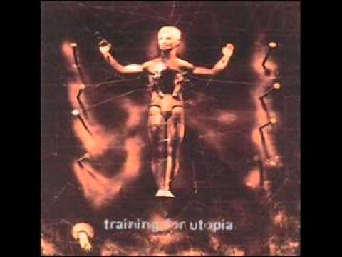 Training For Utopia- Human Shield