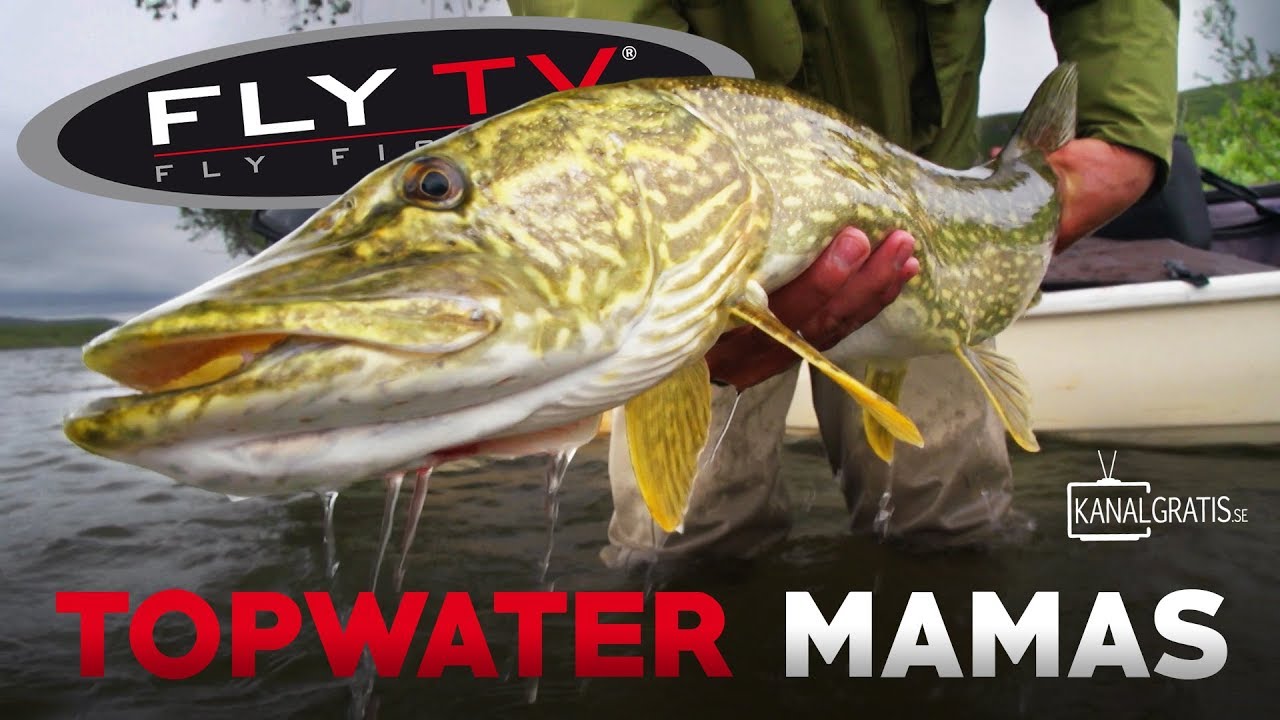 FLY TV - Topwater Mamas (Pike Fly Fishing in the Mountains) FLY TV - Topwater Mamas (Pike Fly Fishing in the Mountains)